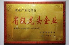 Provincial Leading Enterprises